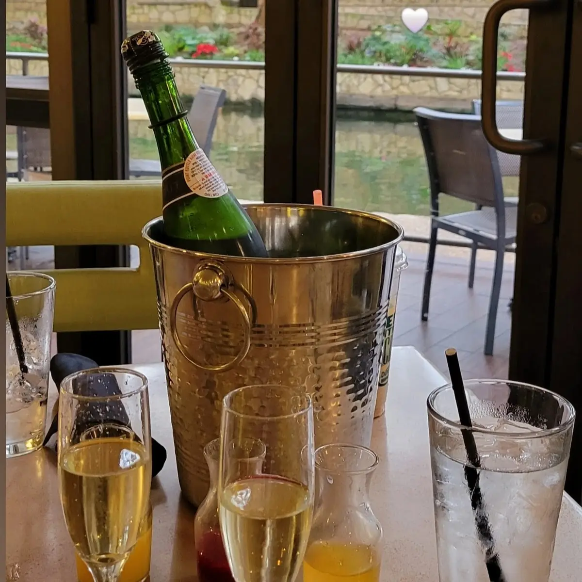 Mimosa Flight
