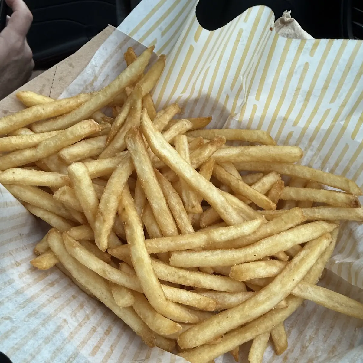 World Famous Fries