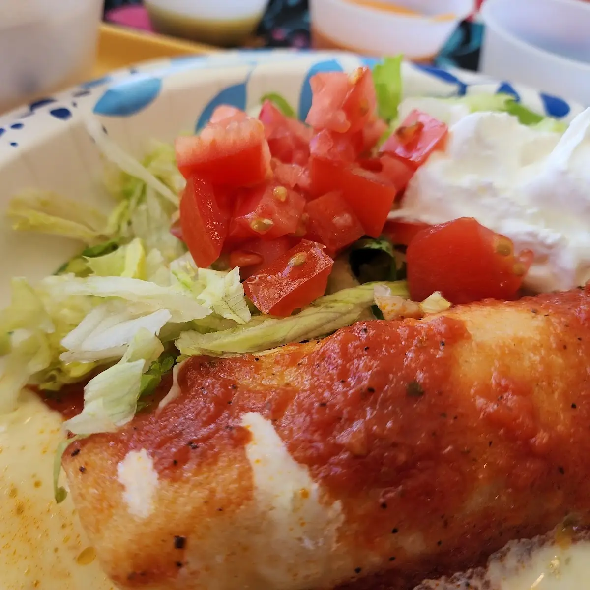Cheese Enchilada with Lettuce & Tomatoes