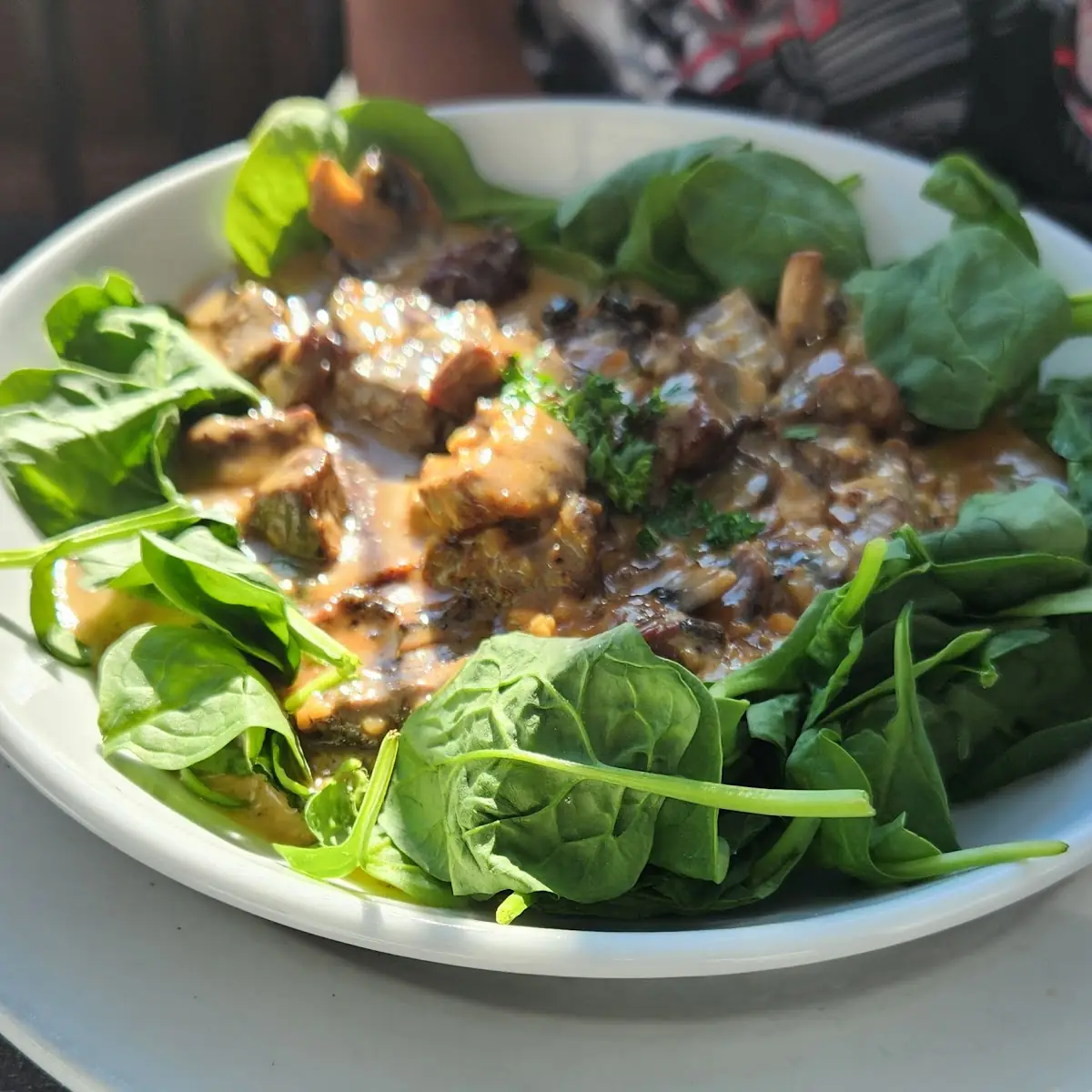 Steak Salad