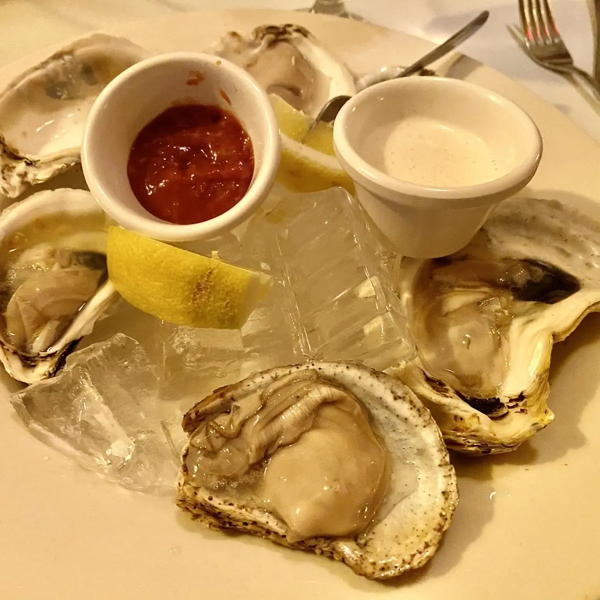 Blue Stone Oysters on a Half Shell