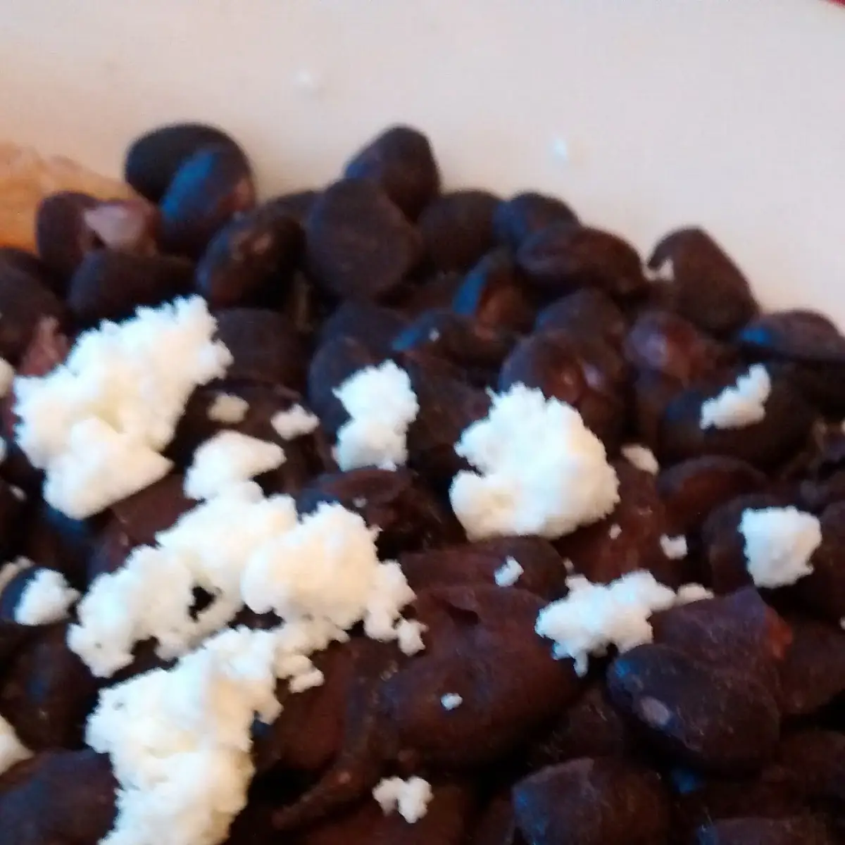 Black Beans