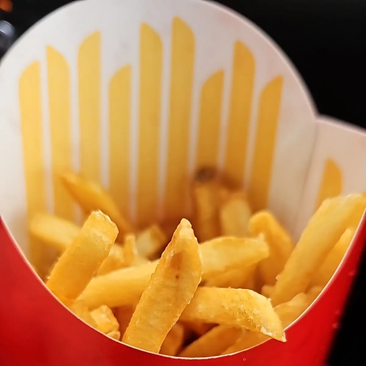 Twice Cooked Fries
