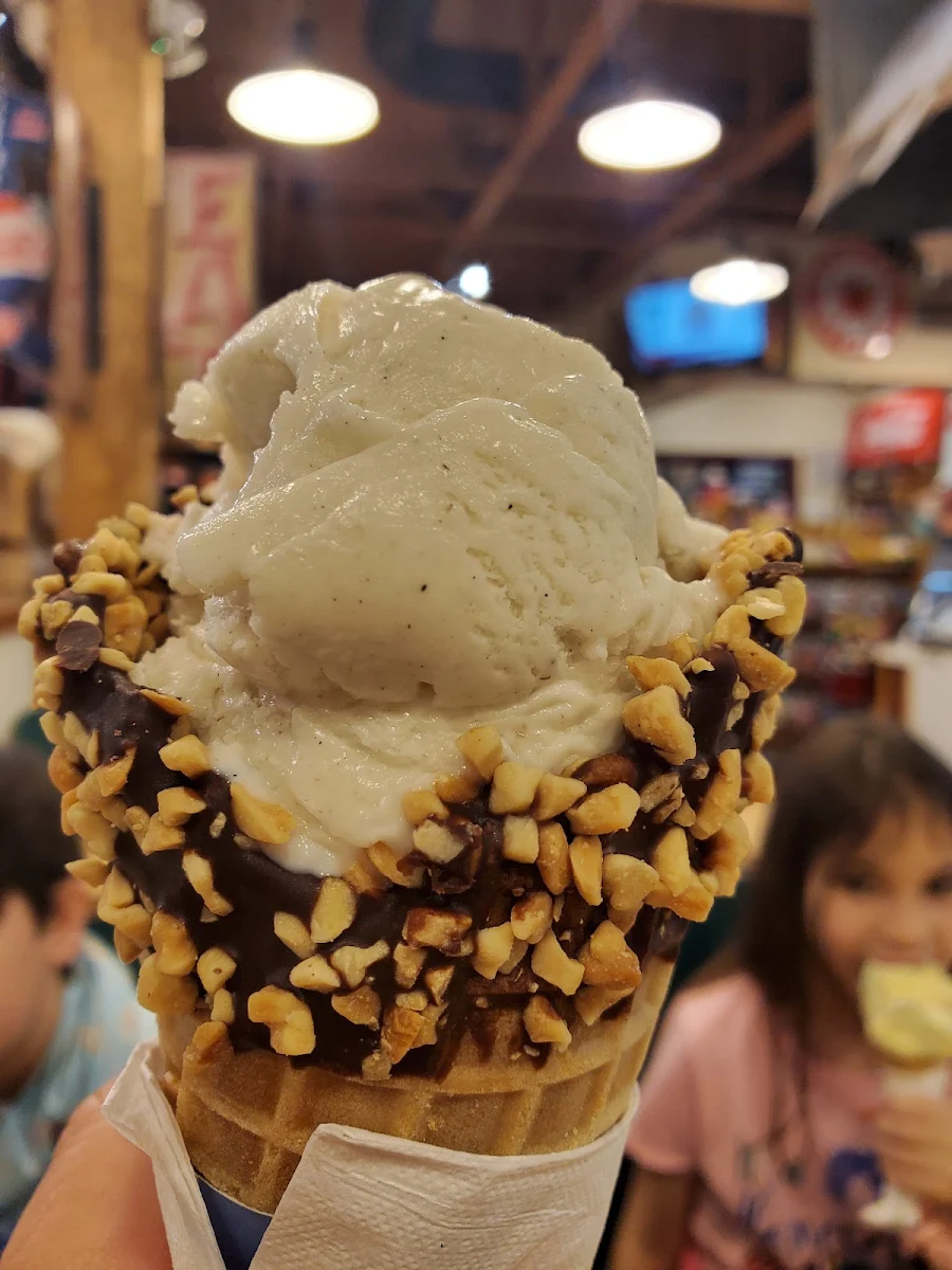Single Scoop French Vanilla in a Waffle Cone