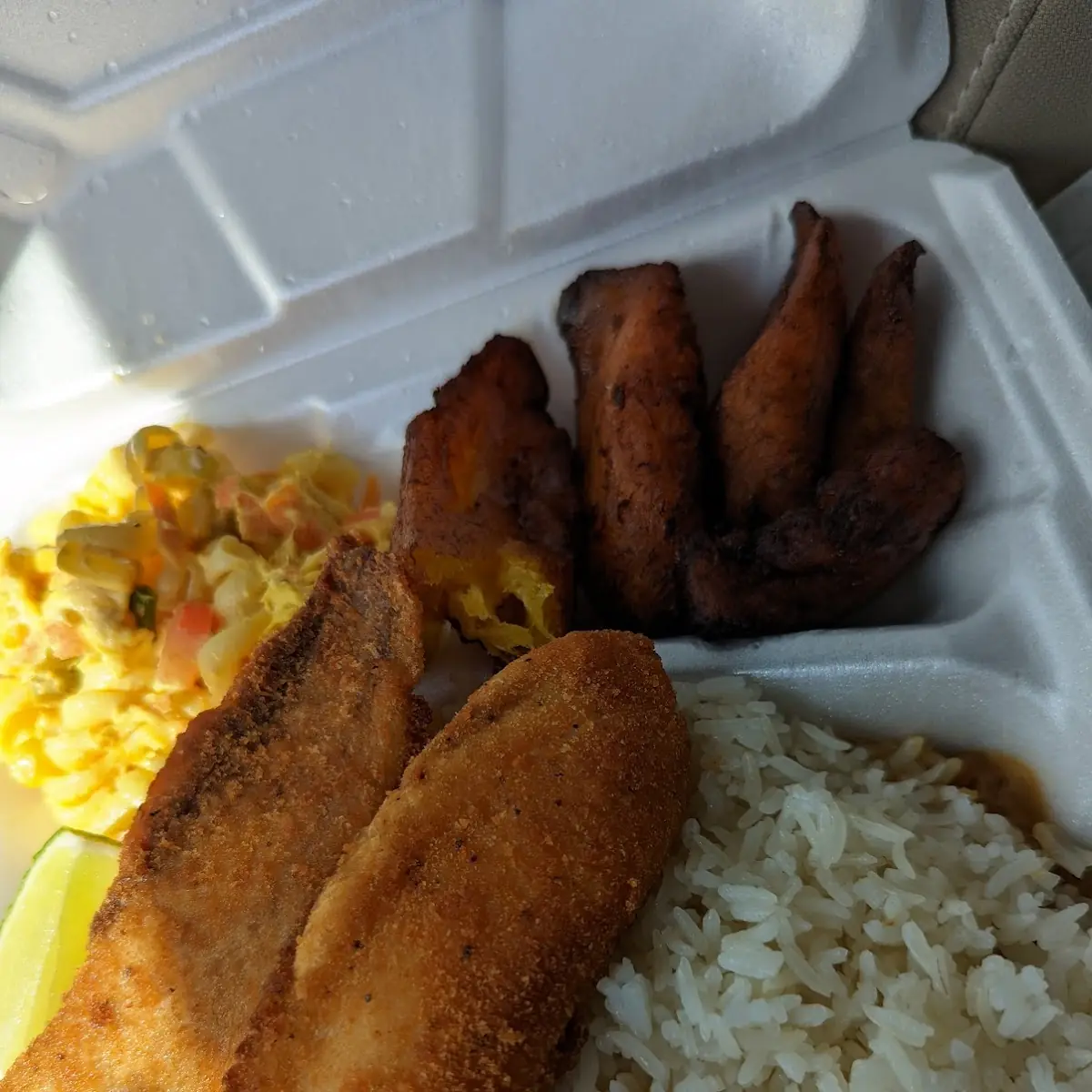 Fish Combo Fried Rice