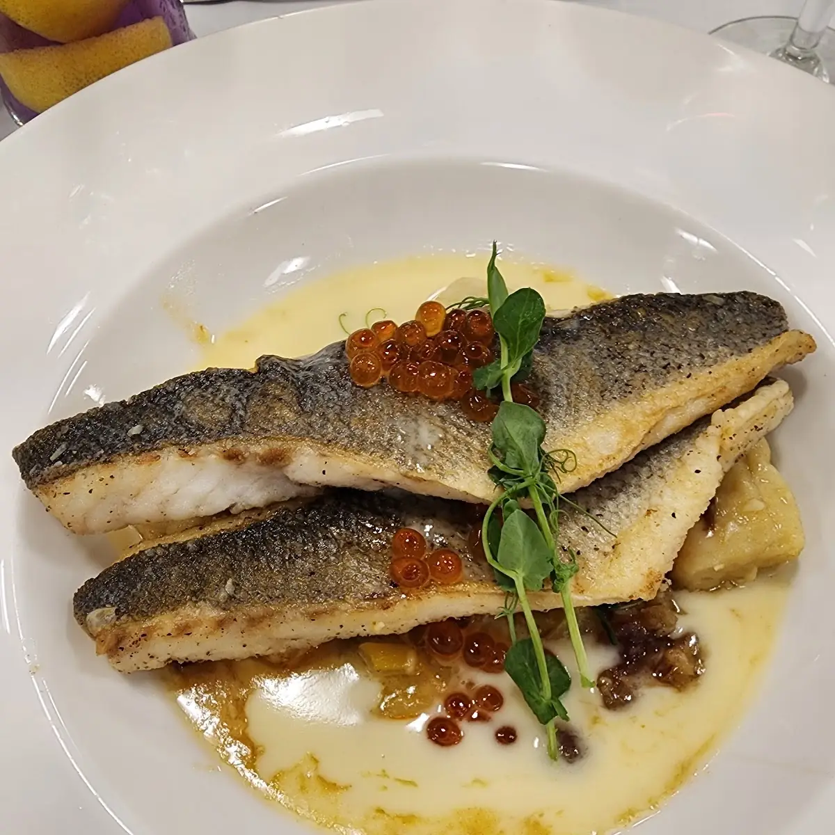 Sea Bass