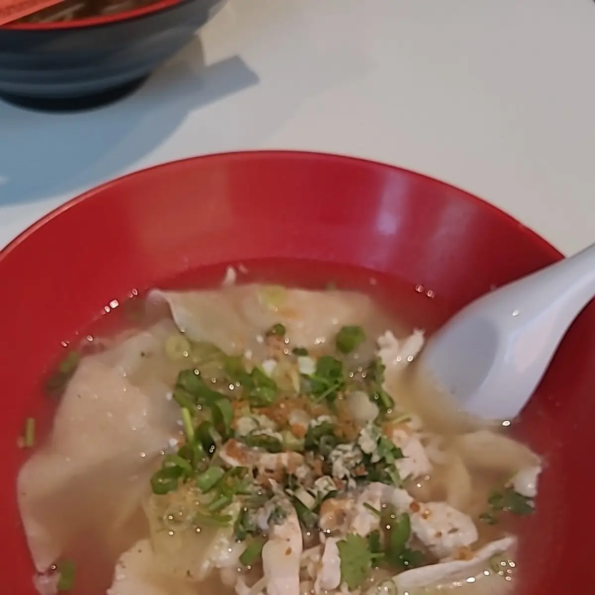Wonton Noodles Soup