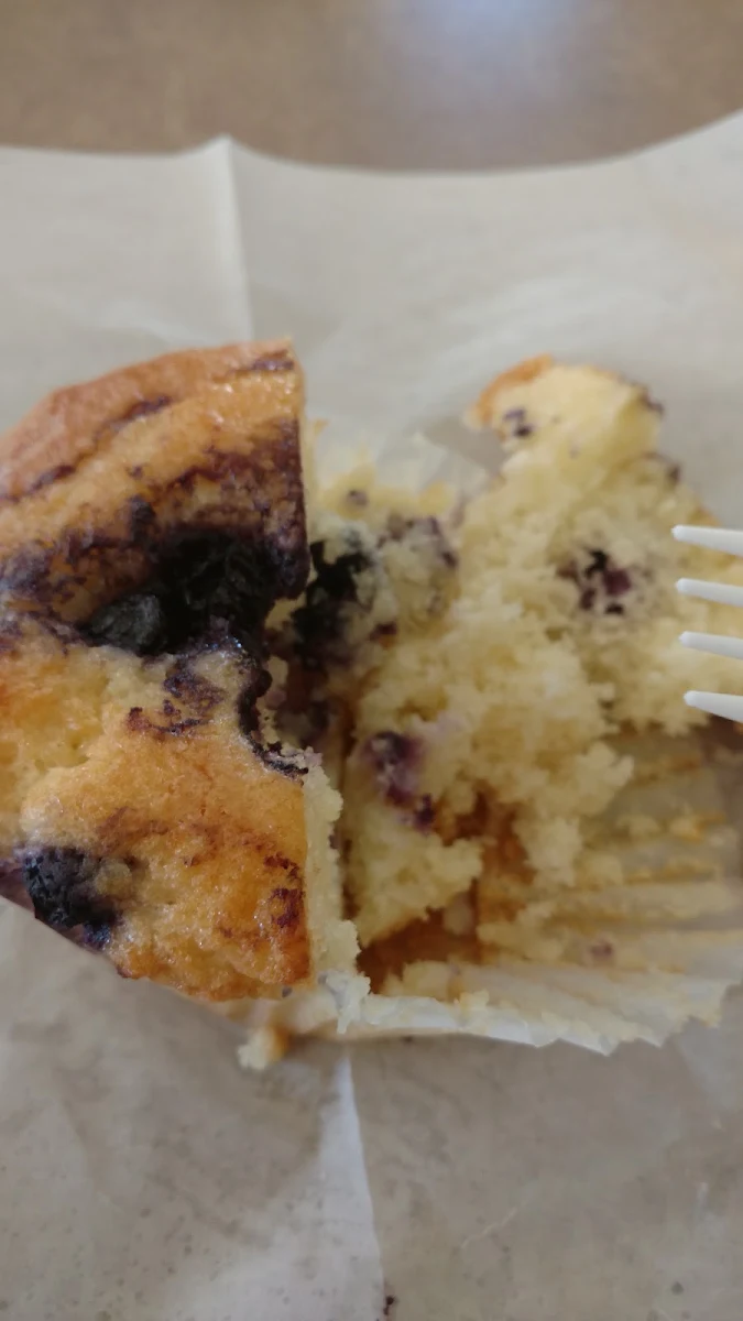 Blueberry Muffin