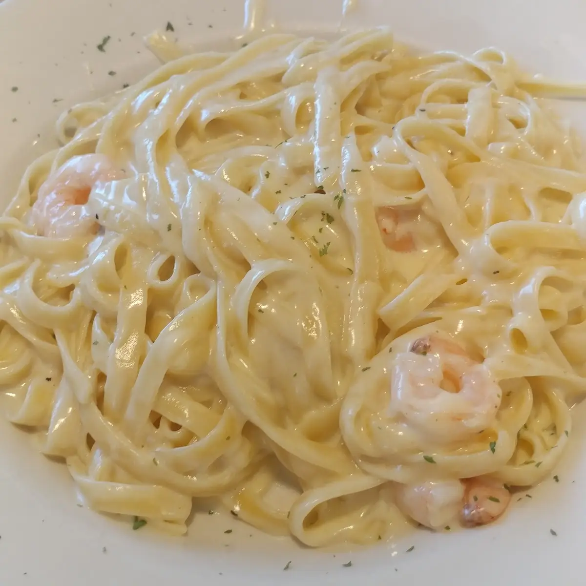 Shrimp Alfredo