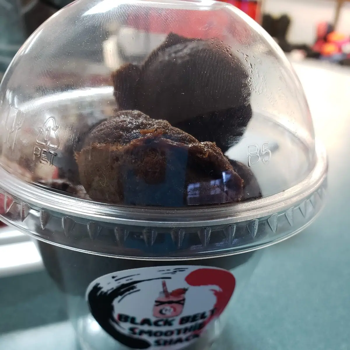 Fudge Brownie Protein Bites