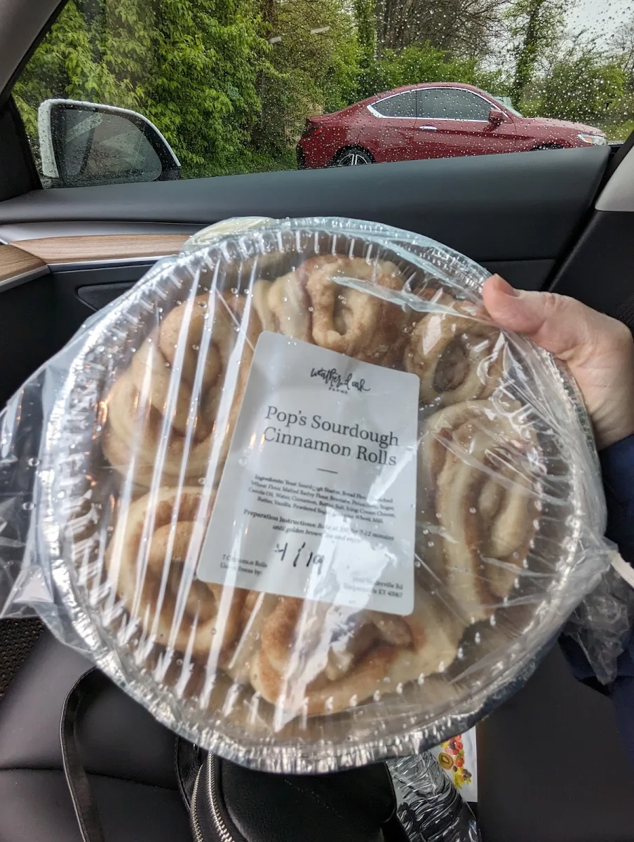 Large Cinnamon Roll