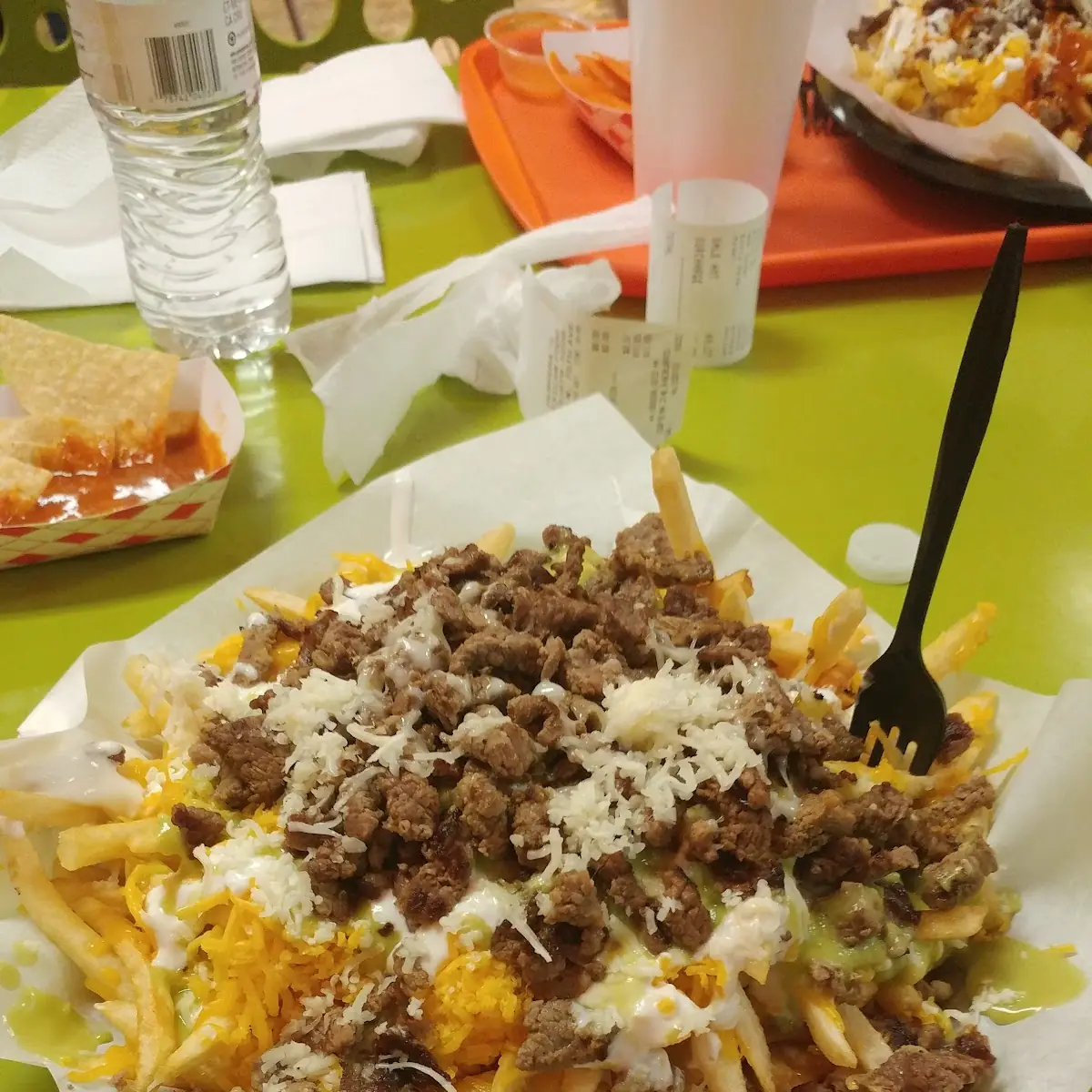 Carne Asada Fries