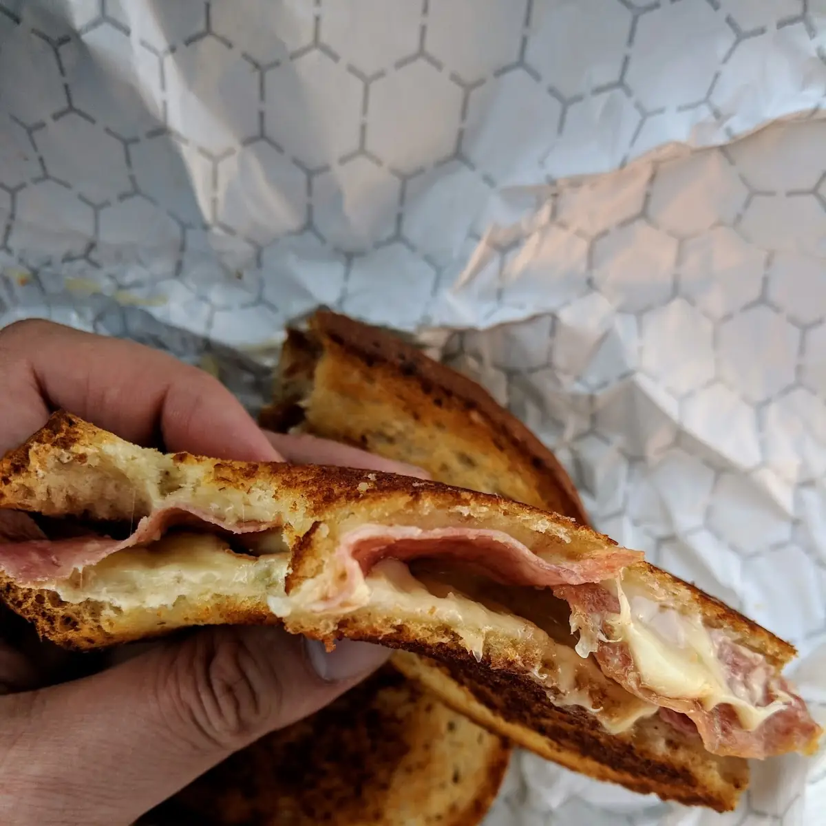 Grilled Salami and Pepper Jack