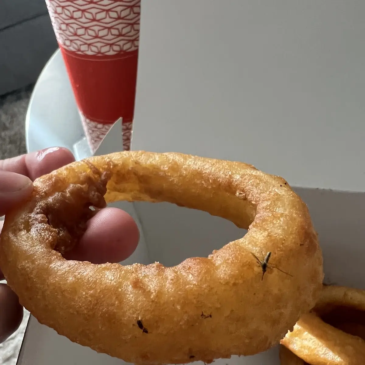 Onion Rings
