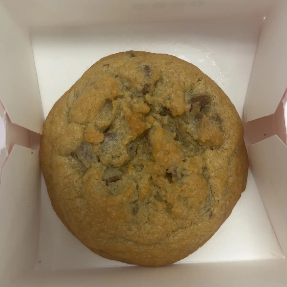 Chocolate Chip
