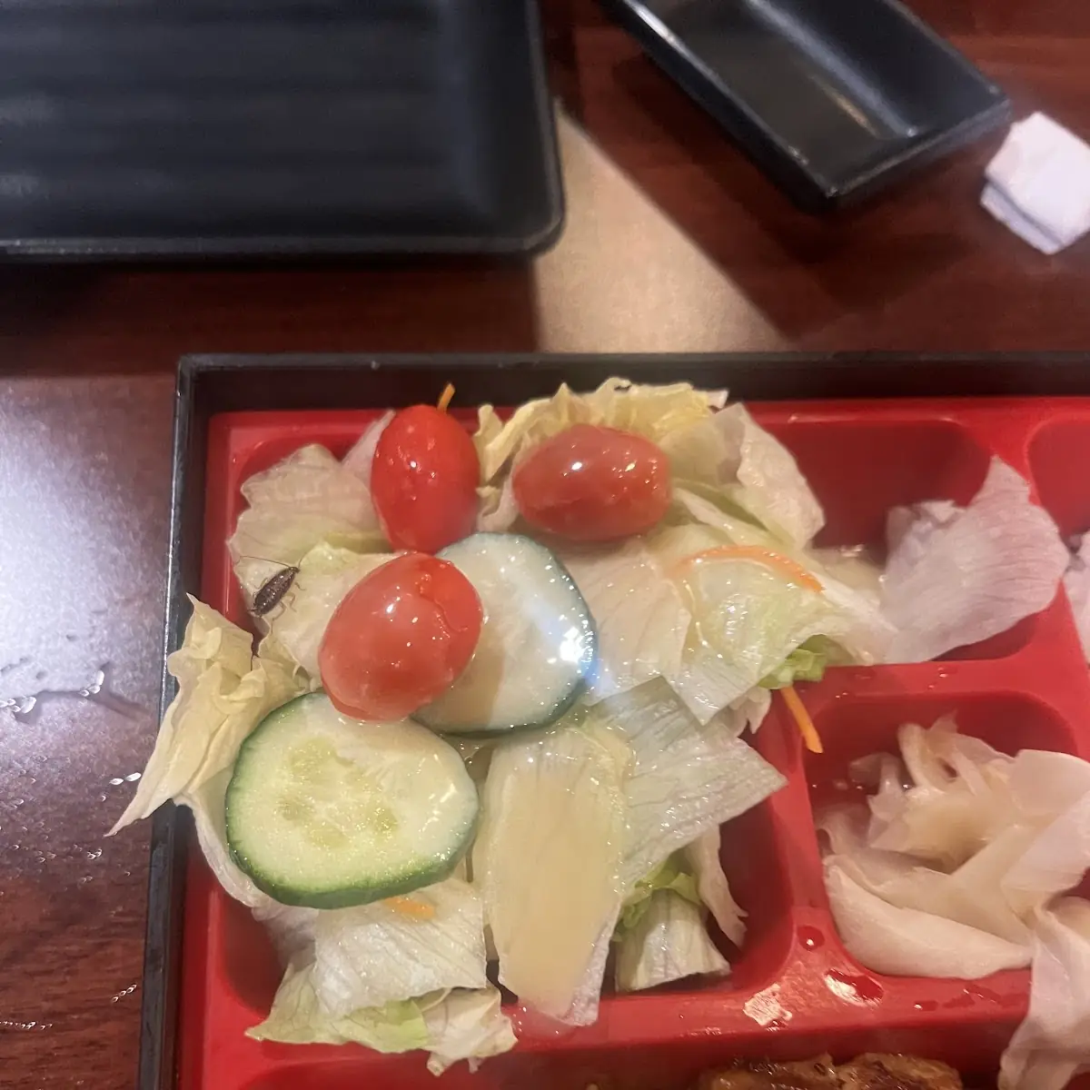 Shrimp Teriyaki Bento Box