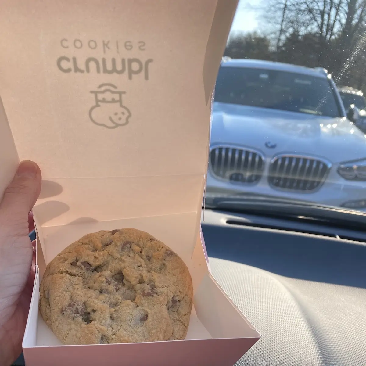 Chocolate Chip Cookie