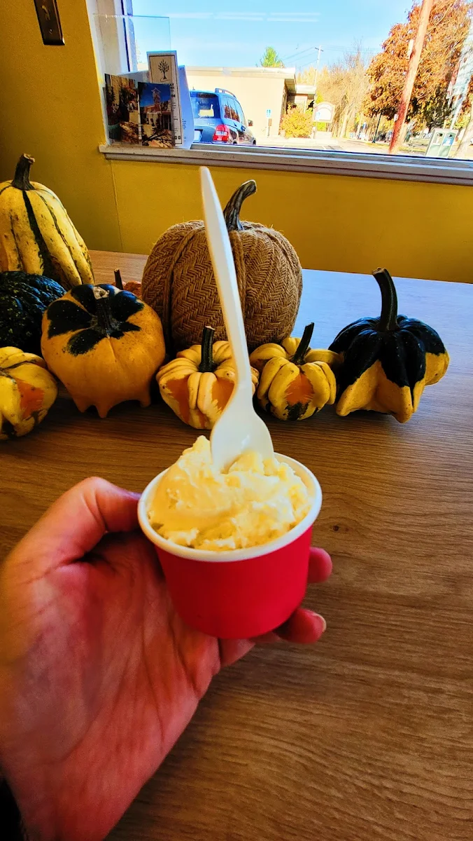 Keto Vanilla Ice Cream