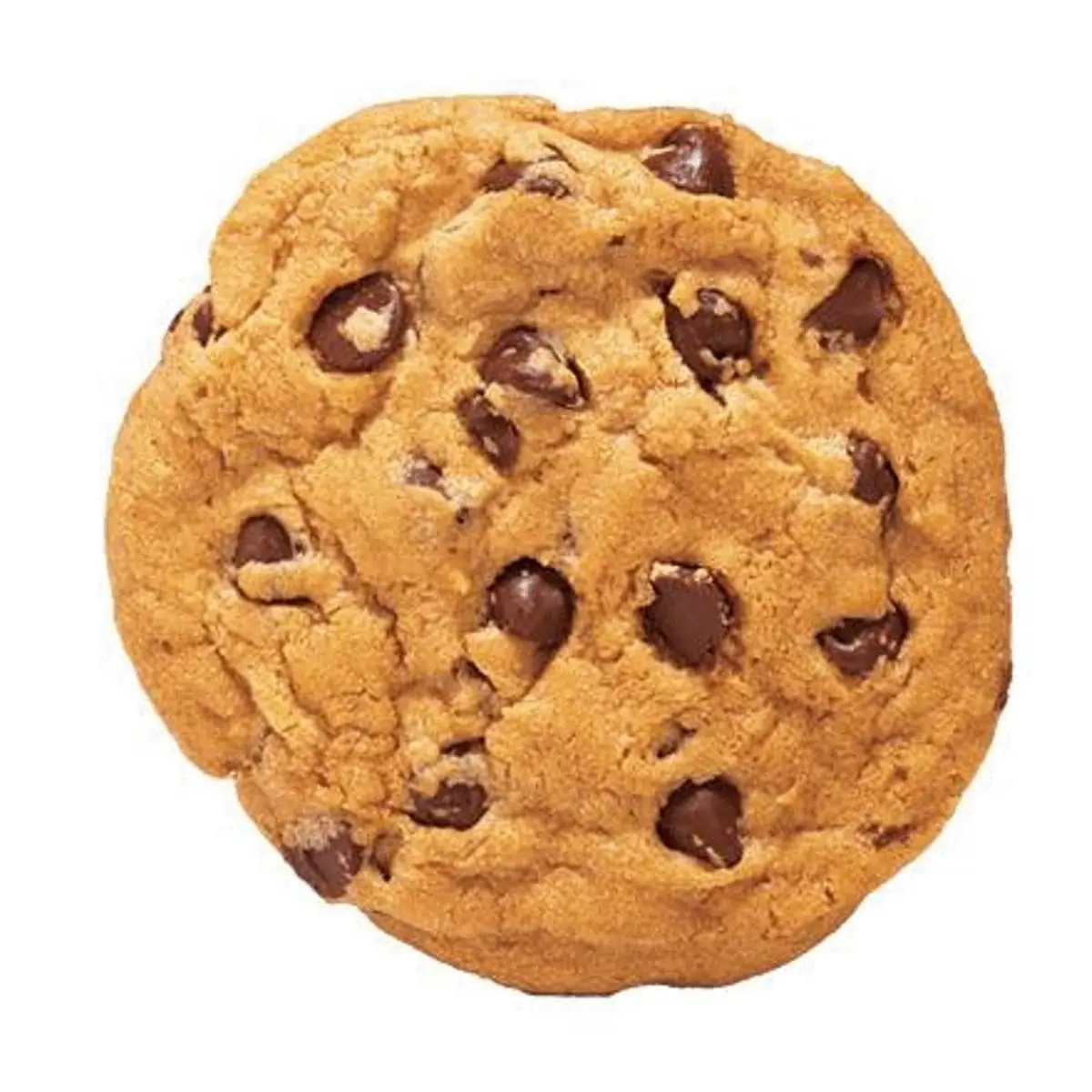 Chocolate Chip Cookie