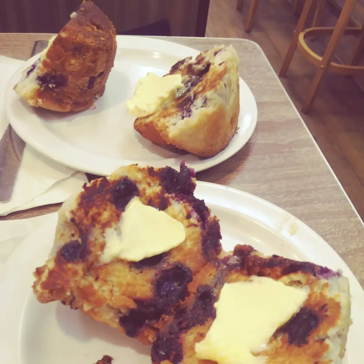 Homemade Blueberry Muffin