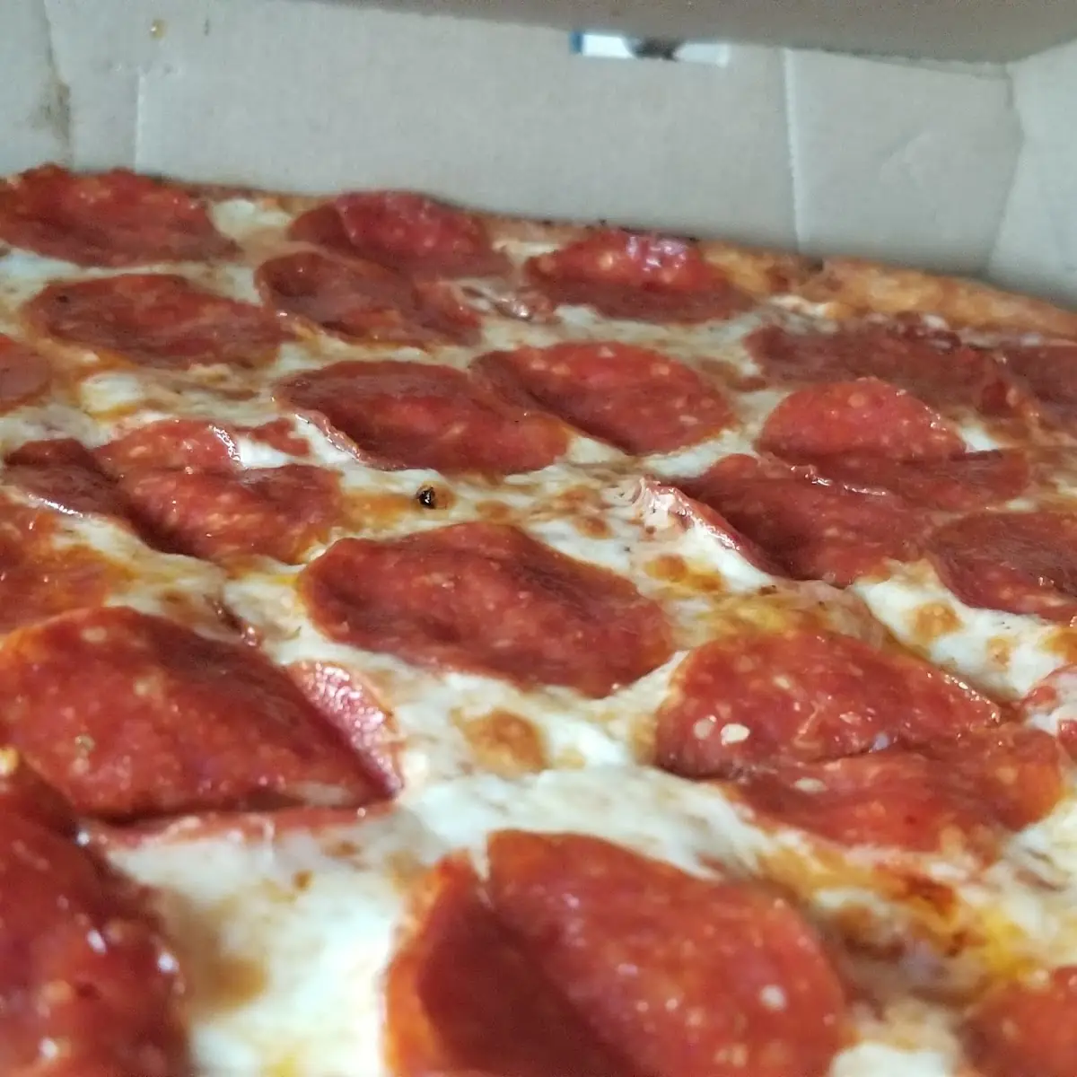 Thin Crust Most Bestest Pepperoni Pizza
