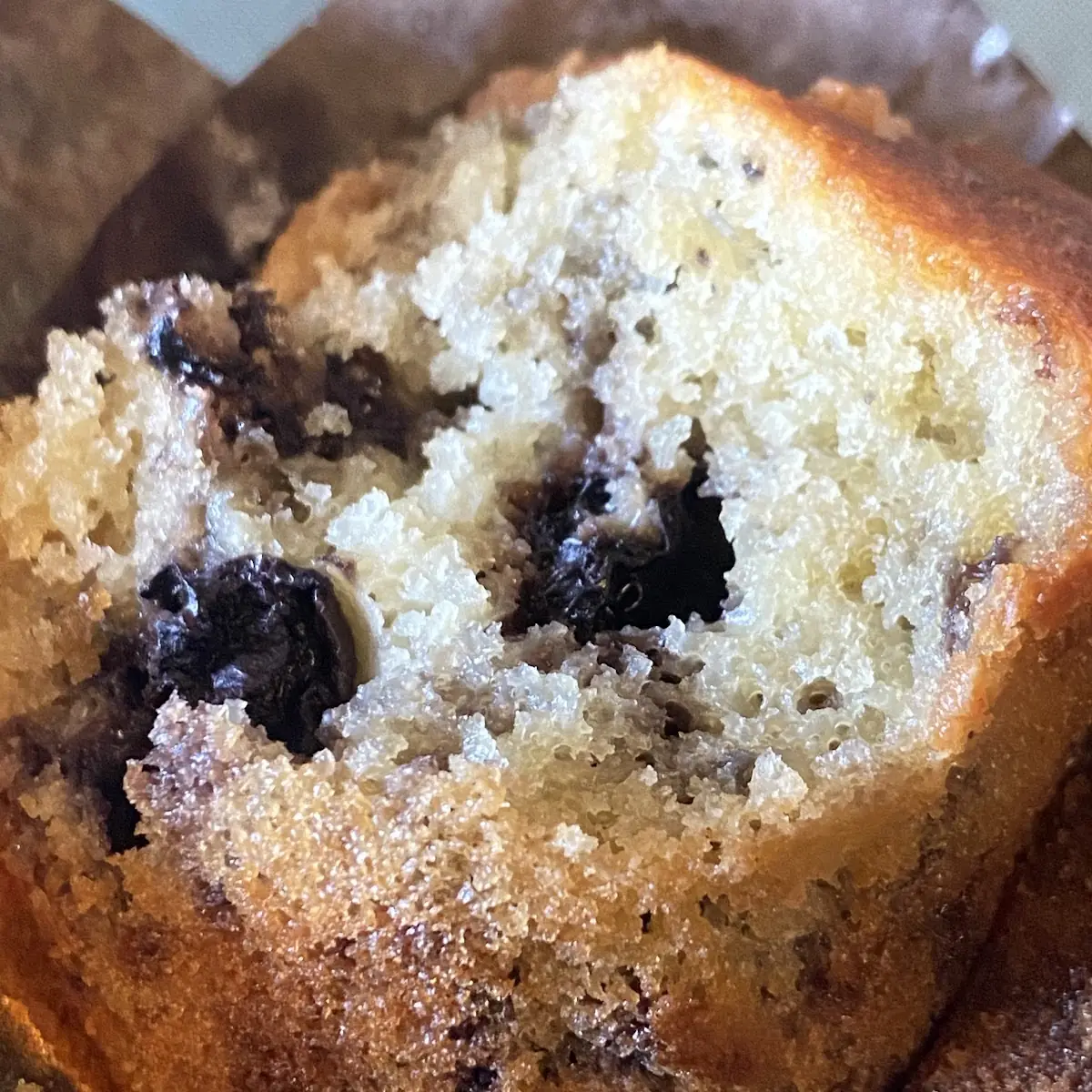 Blueberry Muffin