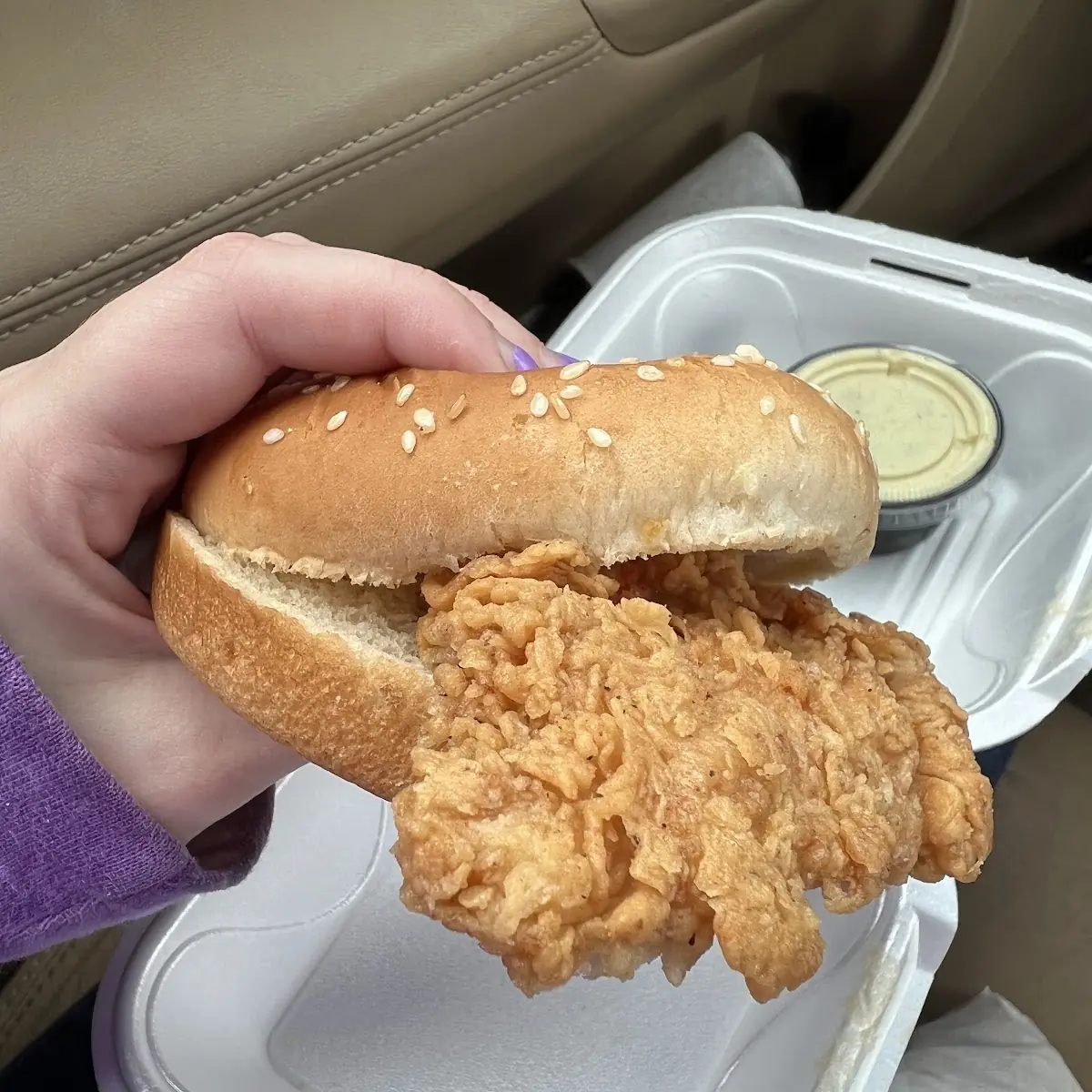 Chicken Strip w 2 Strips