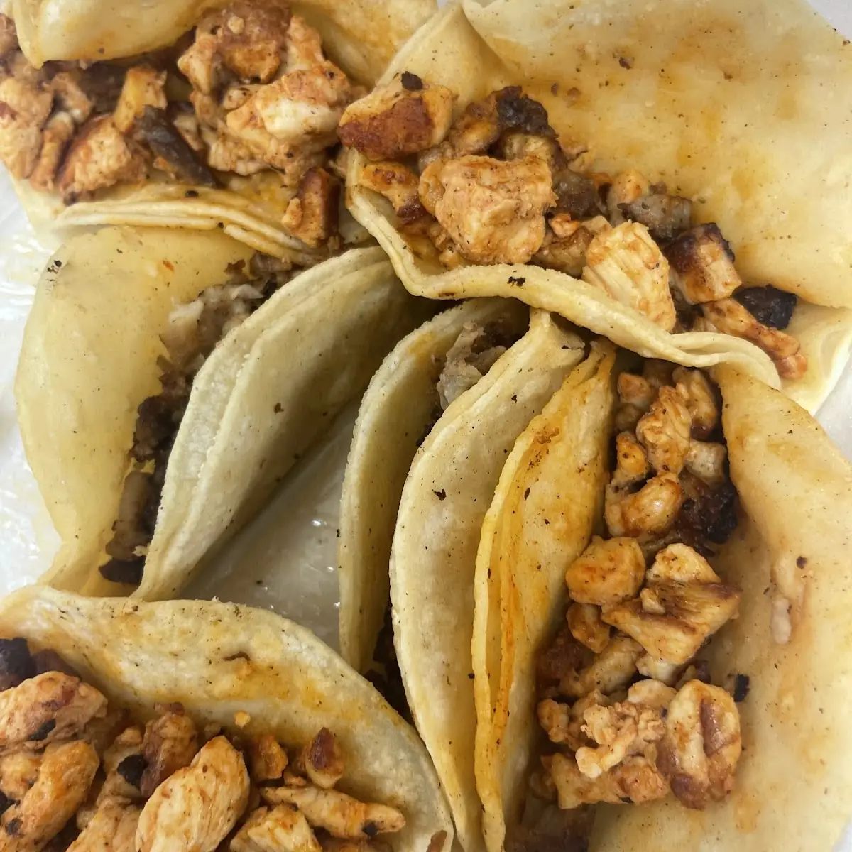 Chicken Fajita Tacos