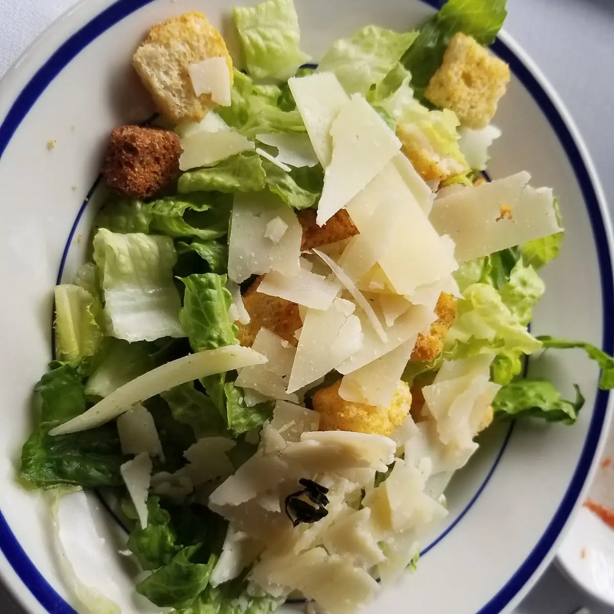Cesar Salad