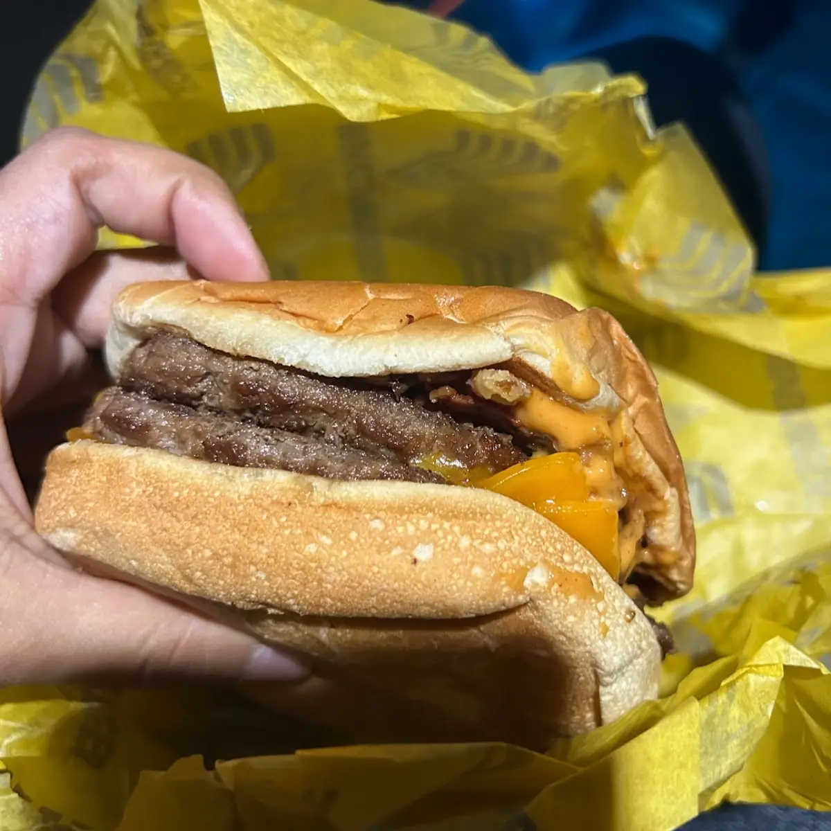 Double Cheese Steak Burger