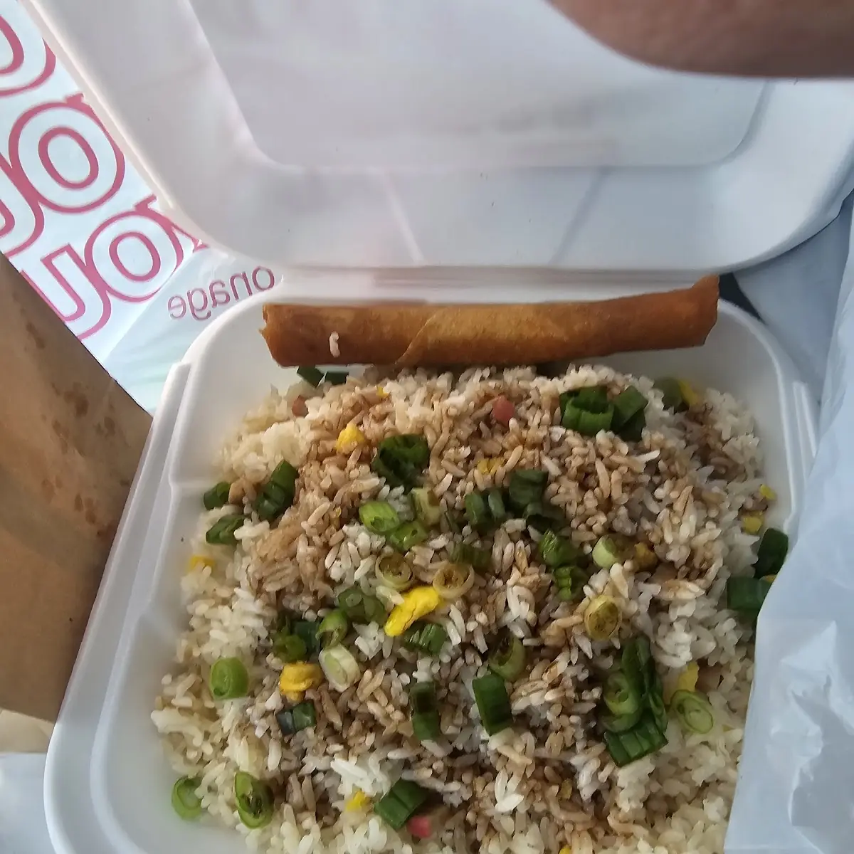 Port Fried Rice Vegetable Spring Rolls