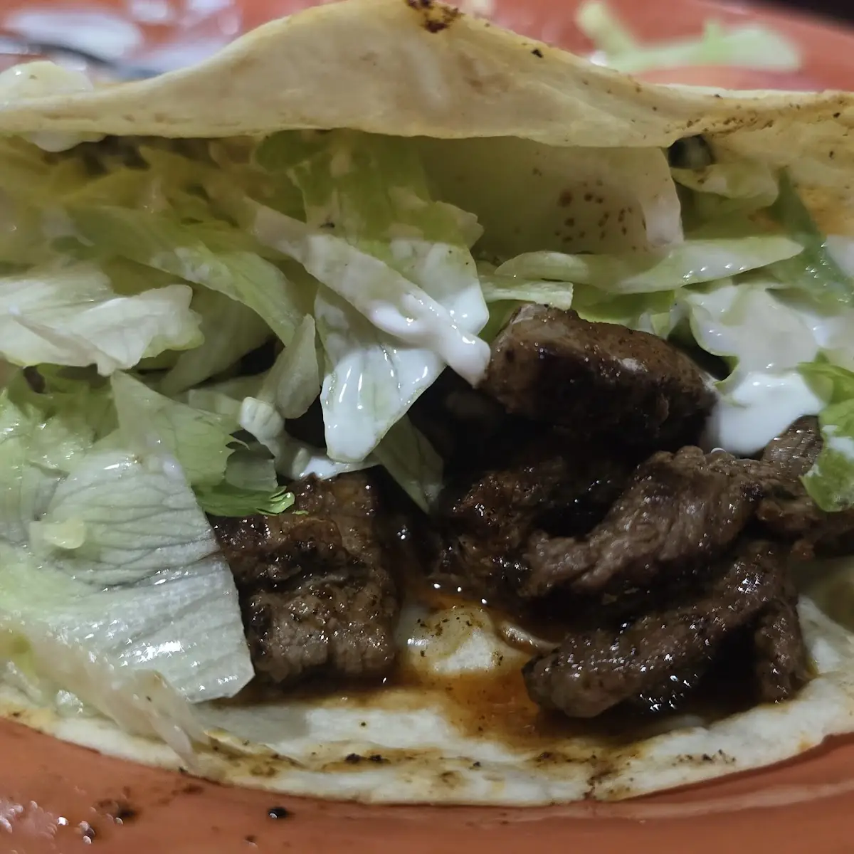Steak Quesadilla