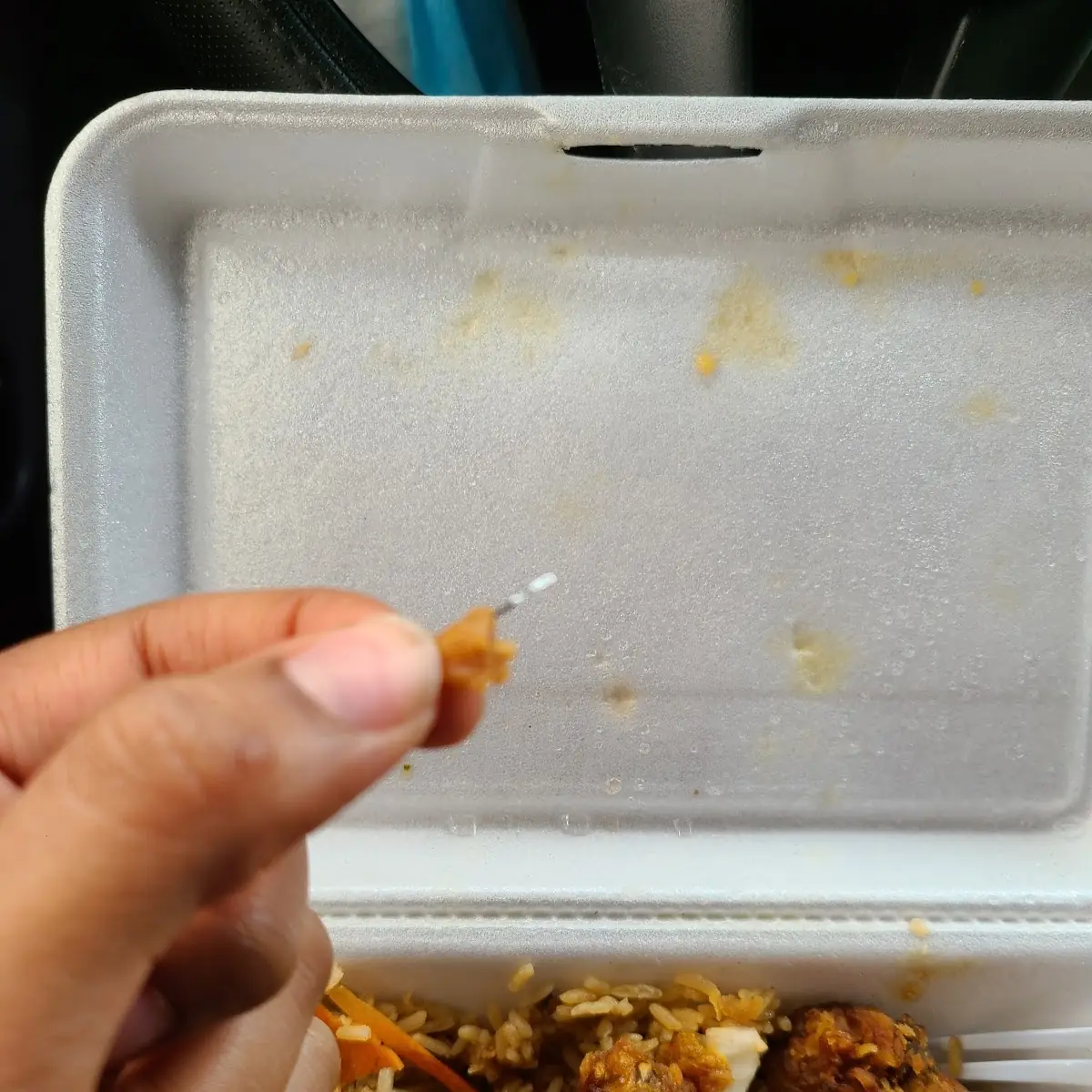 Honey Garlic Chicken with Vegetable Fried Rice