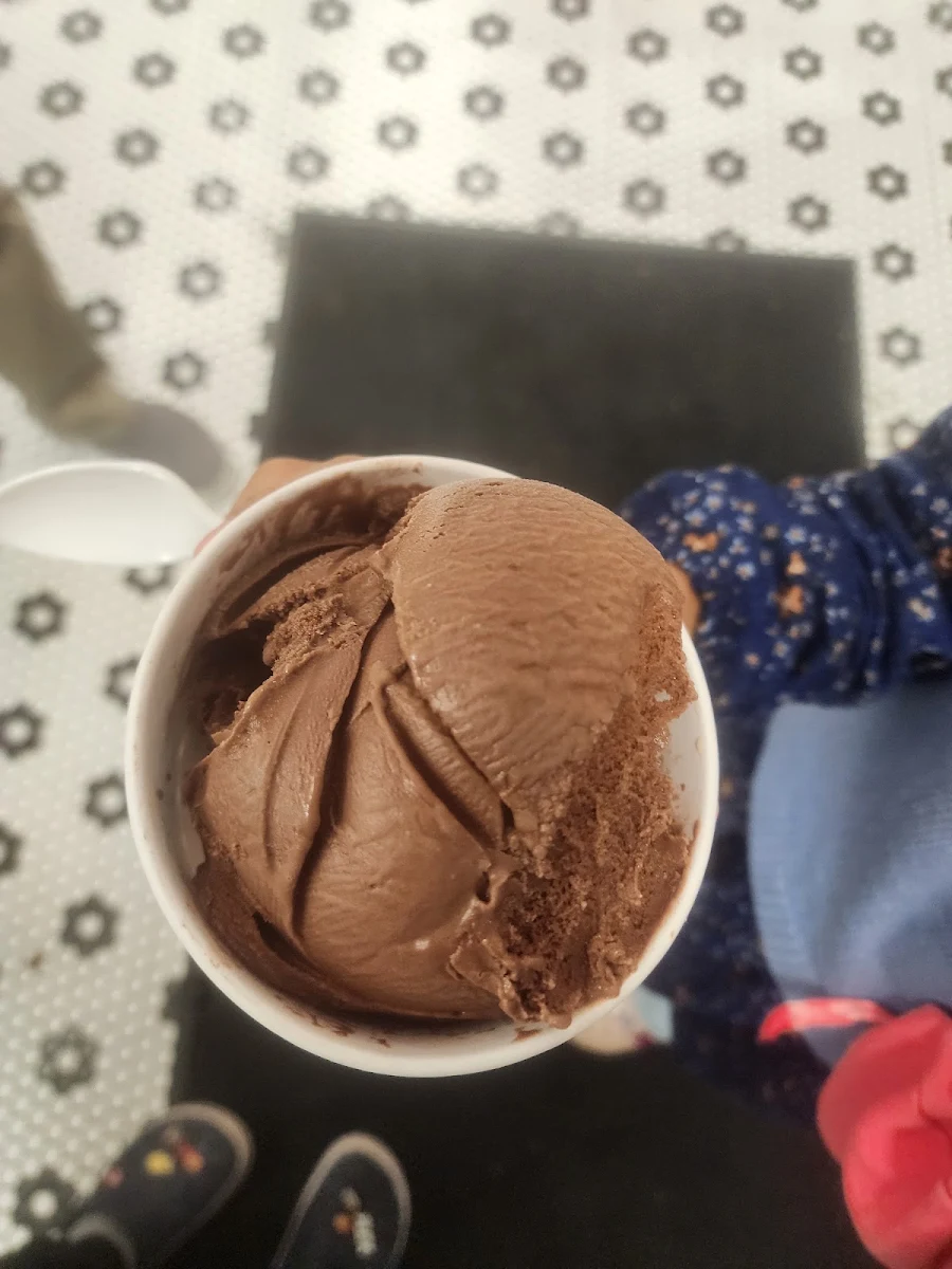 Chocolate Ice Cream