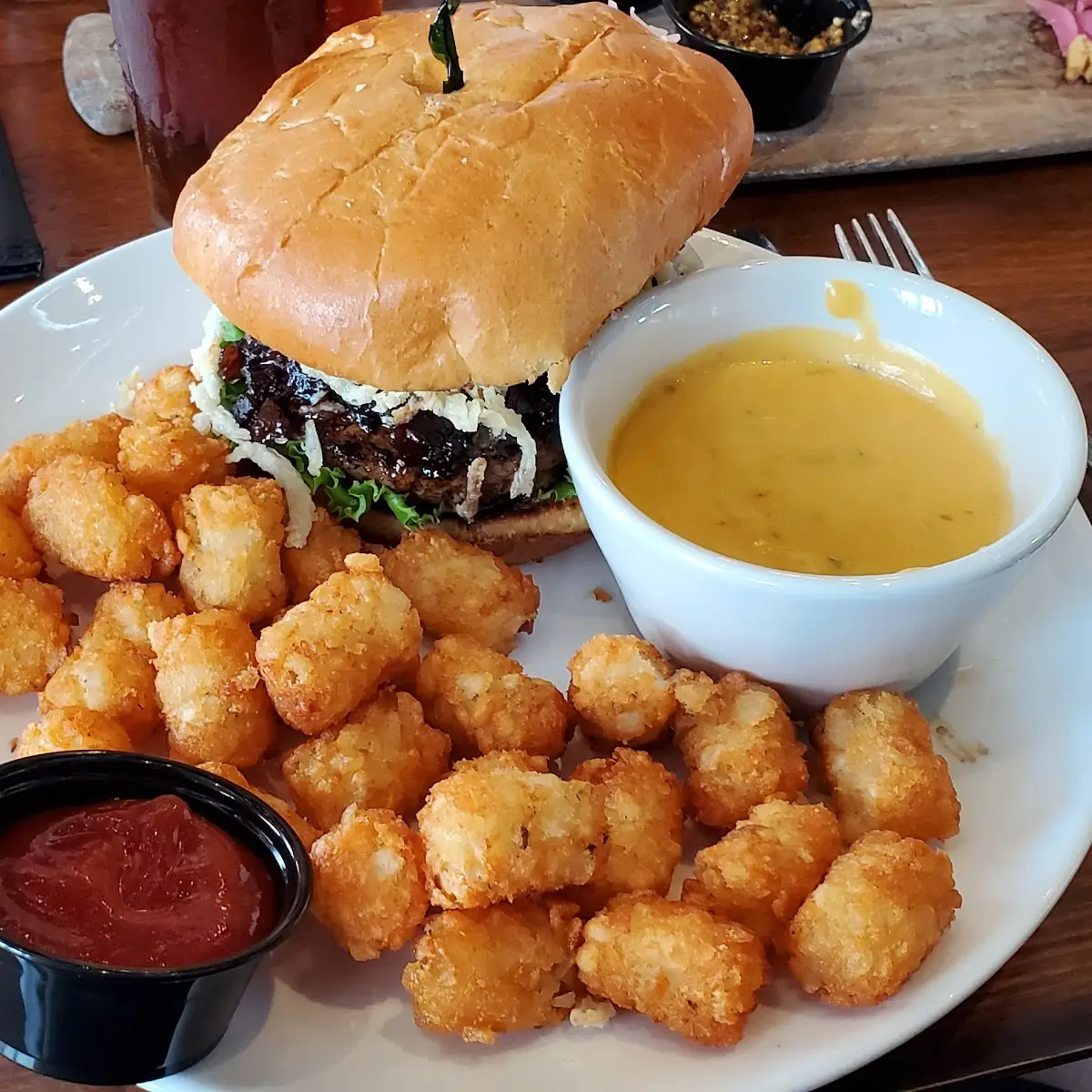 Cheese Burger w Tater Tots