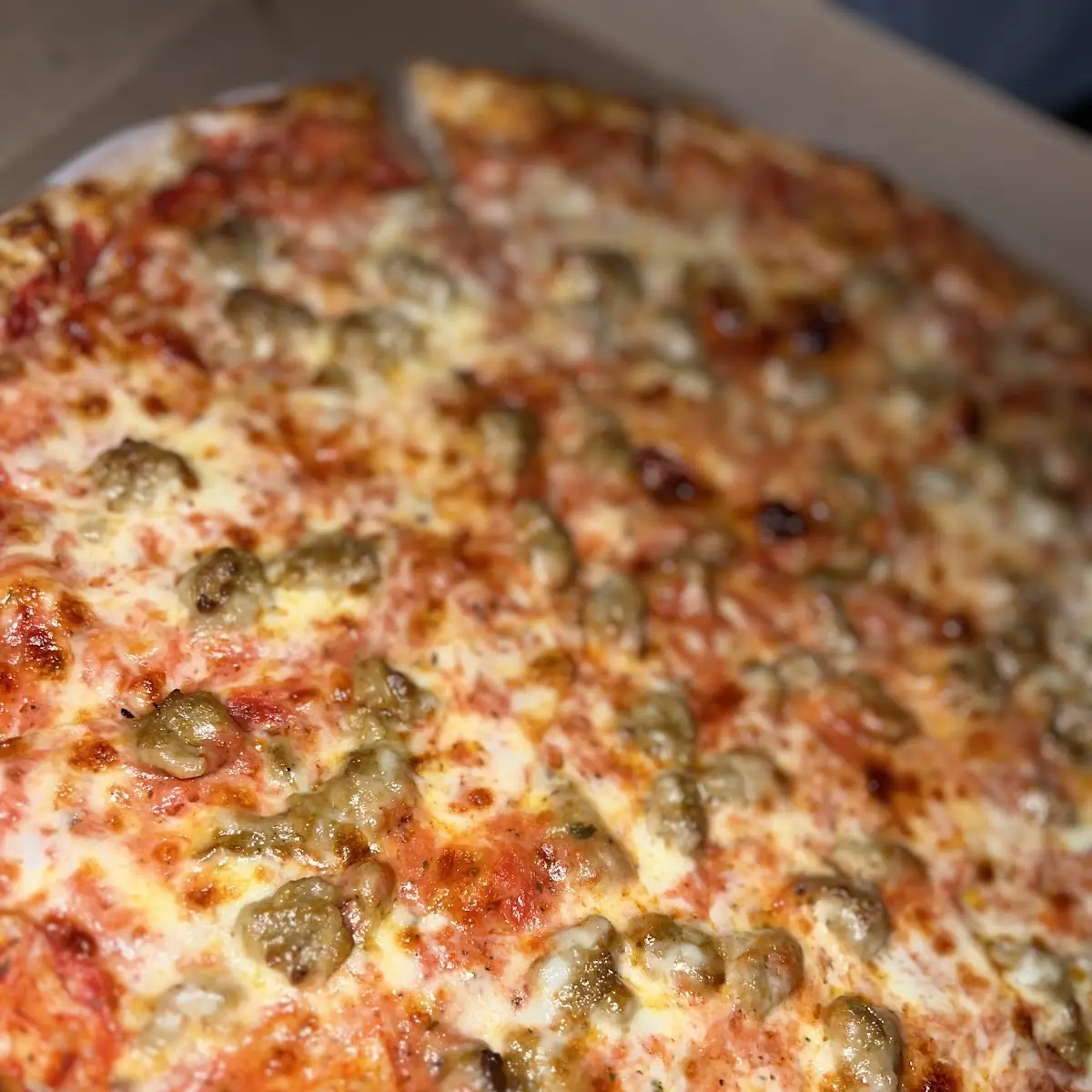 Large Sausage Pizza