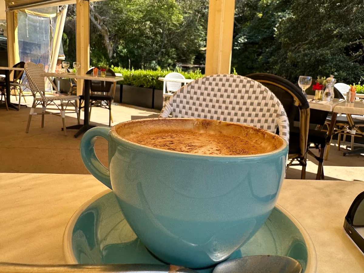 Cappuccino, Echo on the Marina Roseville