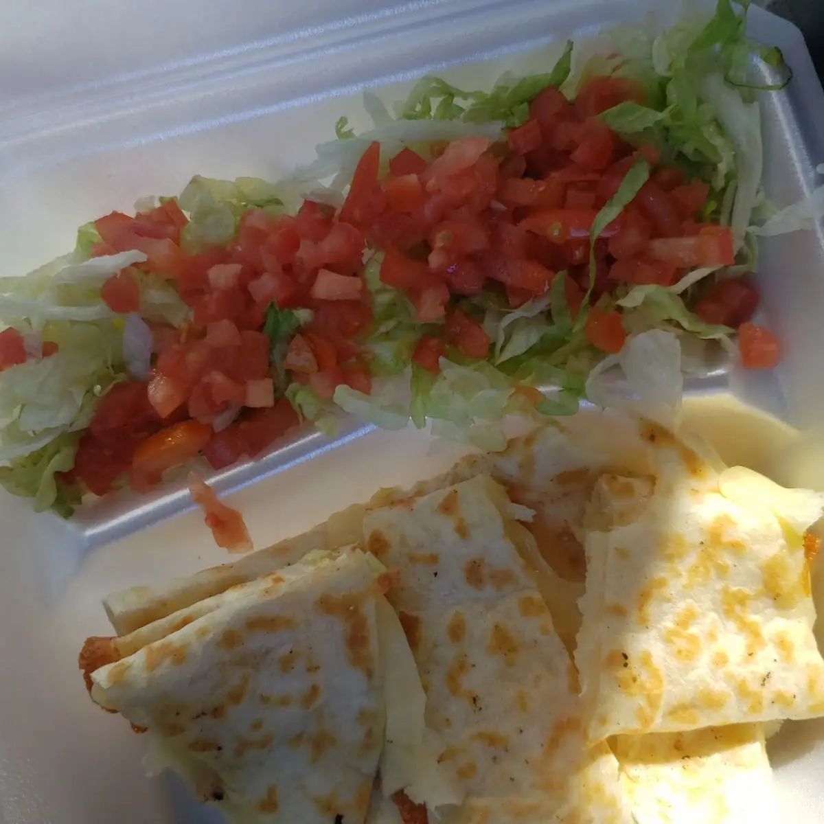 Cheese Quesadilla