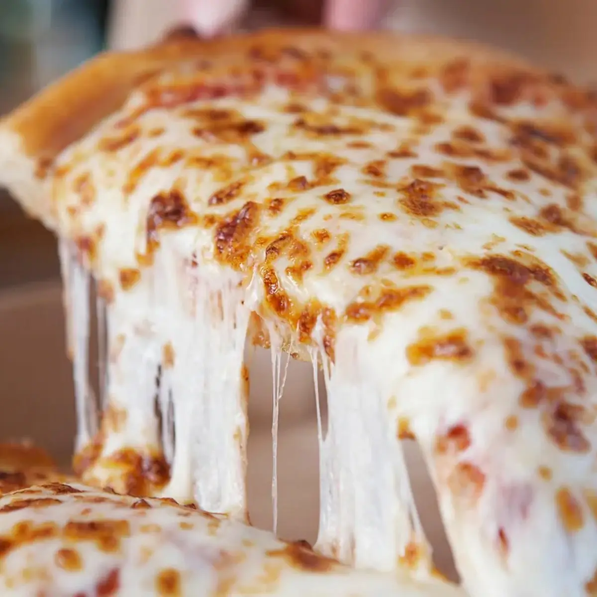 Cheese Pizza