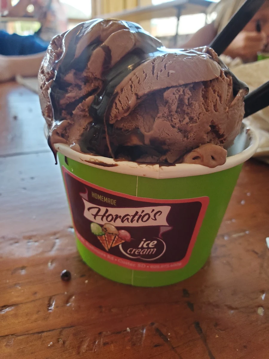 Chocolate Ice Cream with Chocolate Sauce