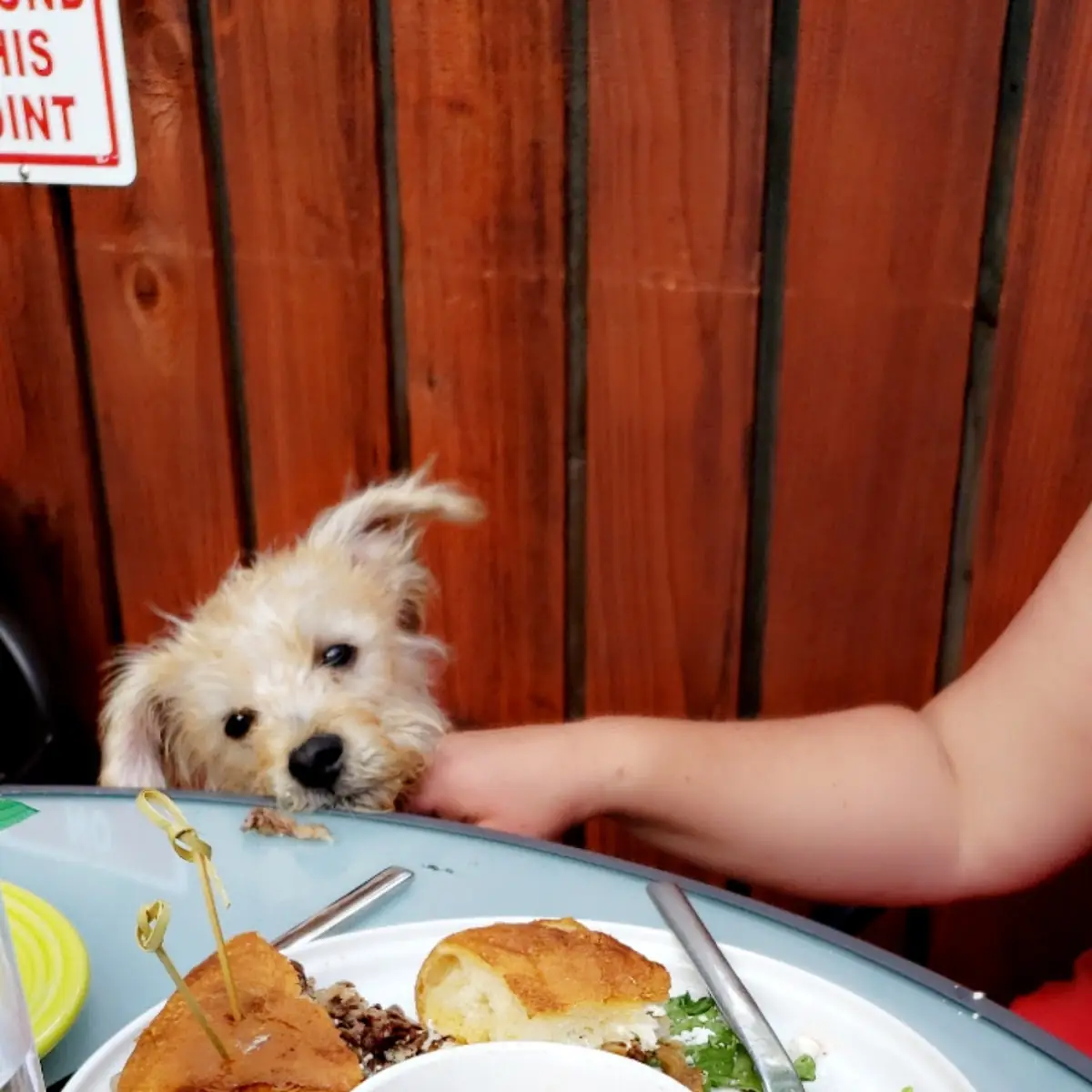 French Dip