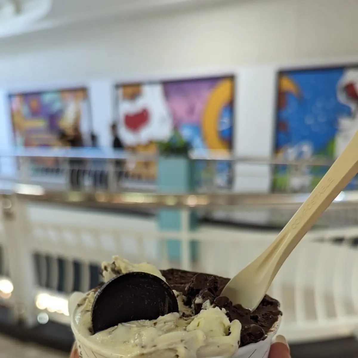 Coconut Milk Chocolate Ice Cream