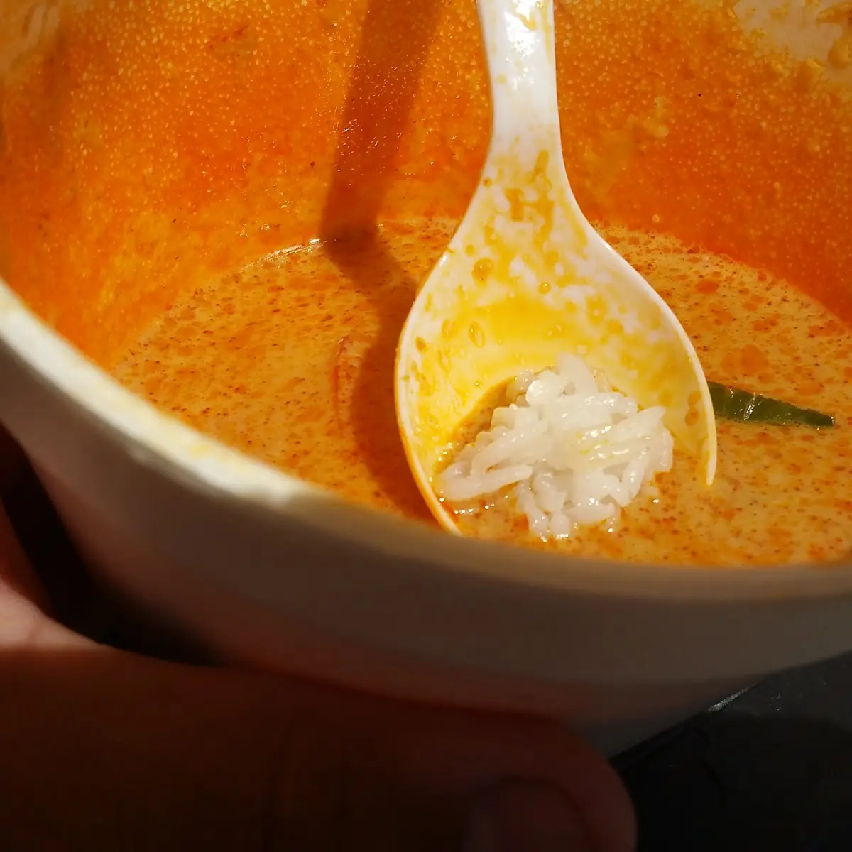 Panang Curry