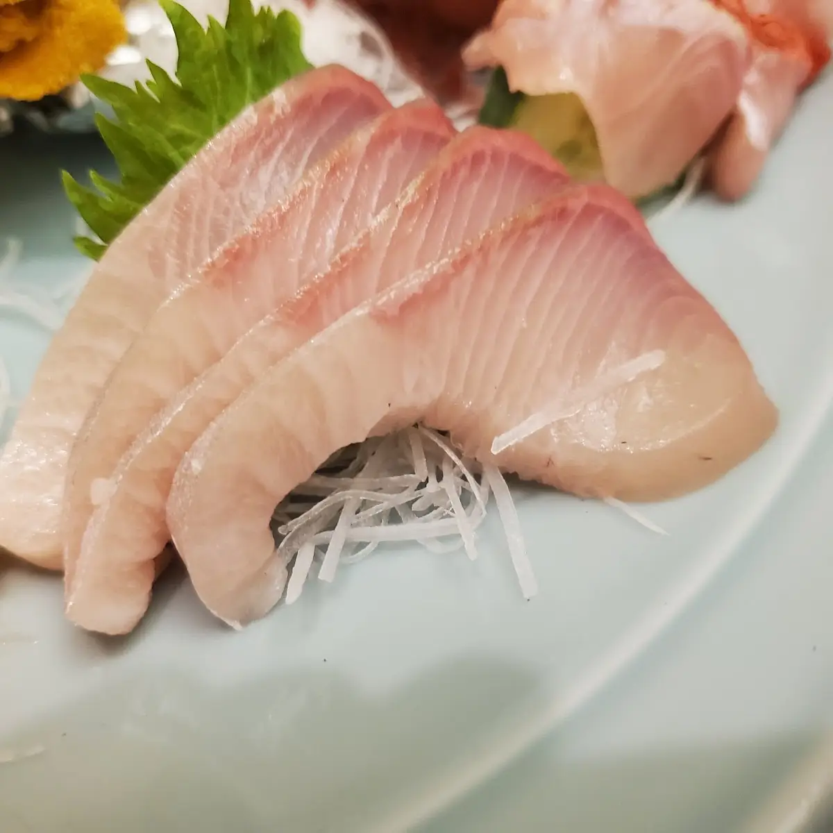 Hamachi Yellowtail