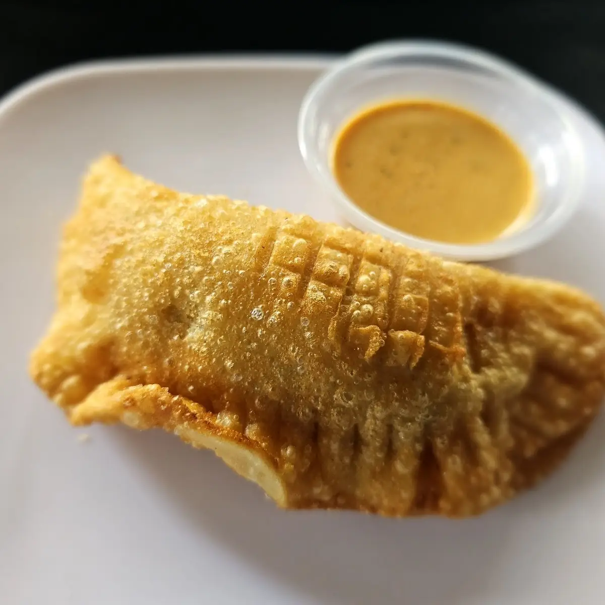 Three Spicy Chicken Empanadas