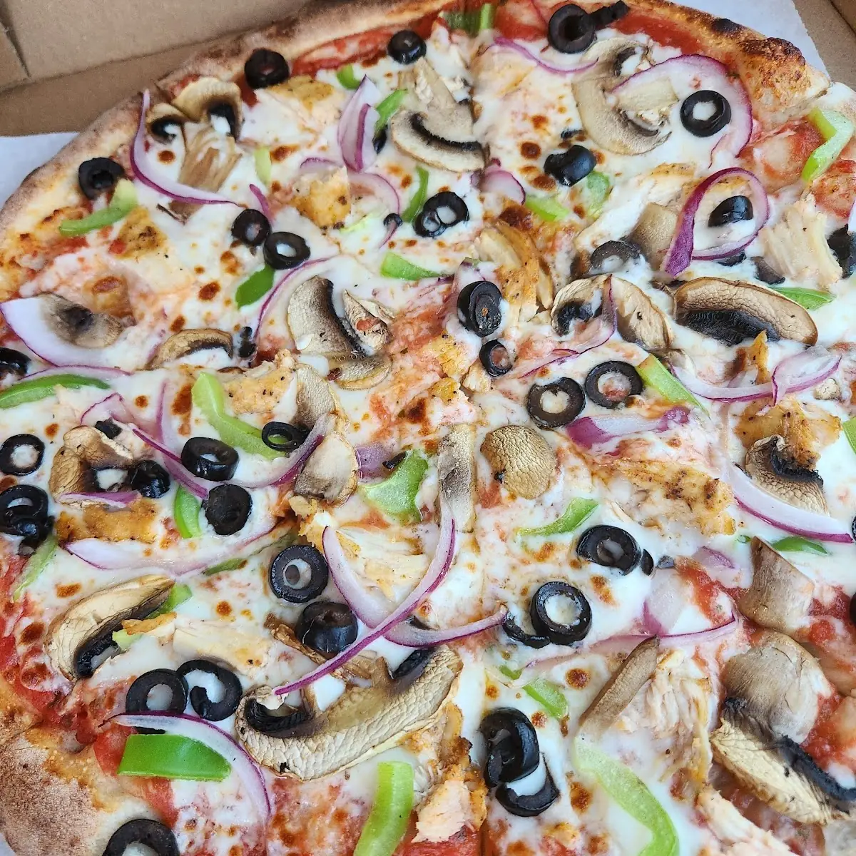 Mushroom Pizza