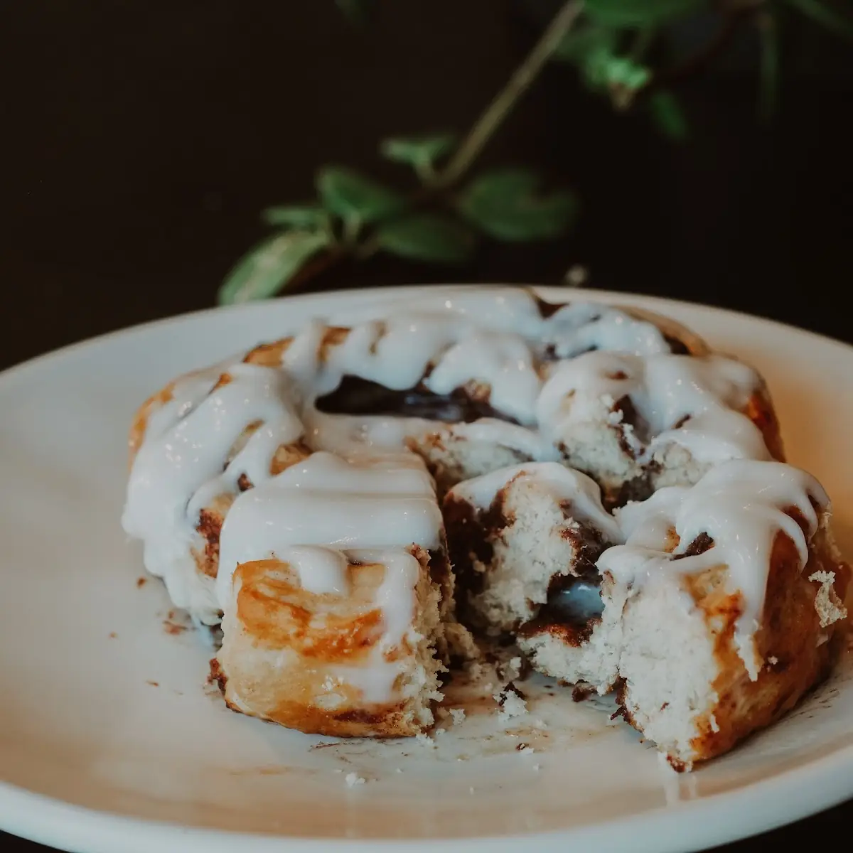 Cinnamon Roll