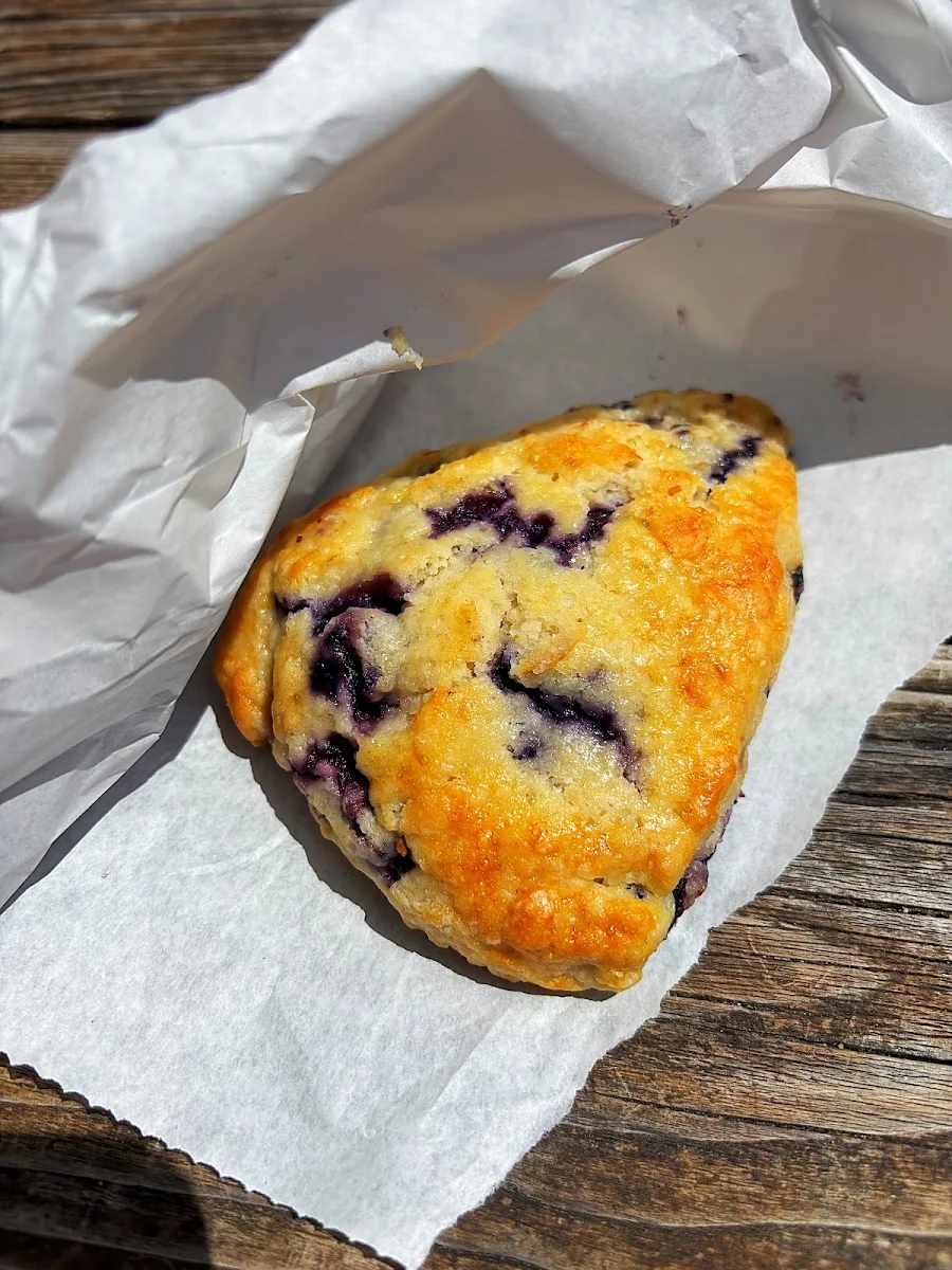Blueberry Muffin