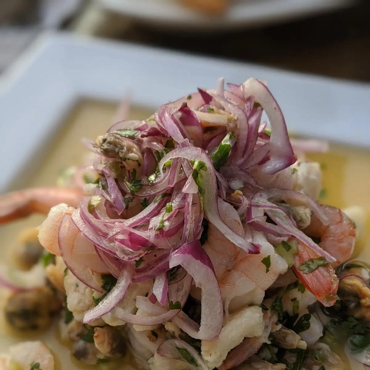 Ceviche Mixto