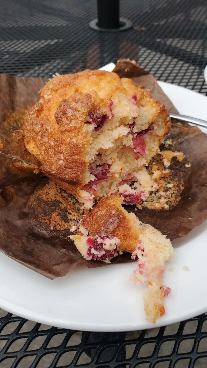 Blueberry Muffin